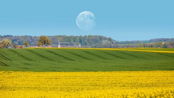 AdobeStock_283170987