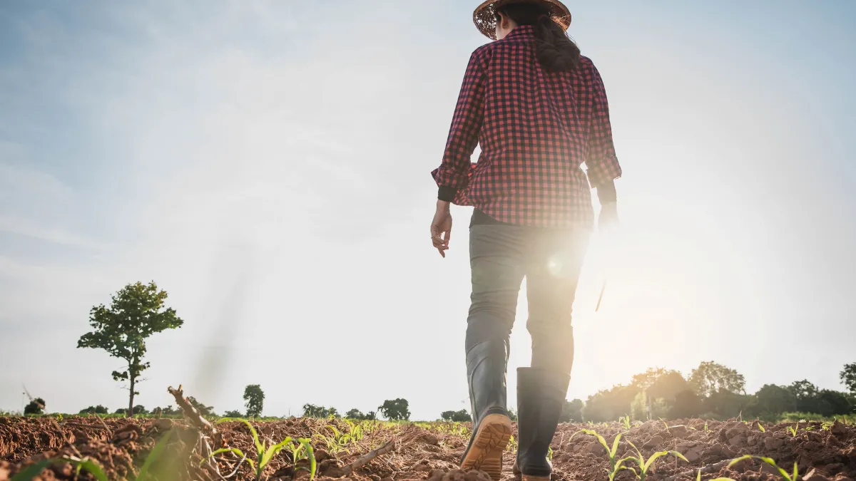 Woman in a field