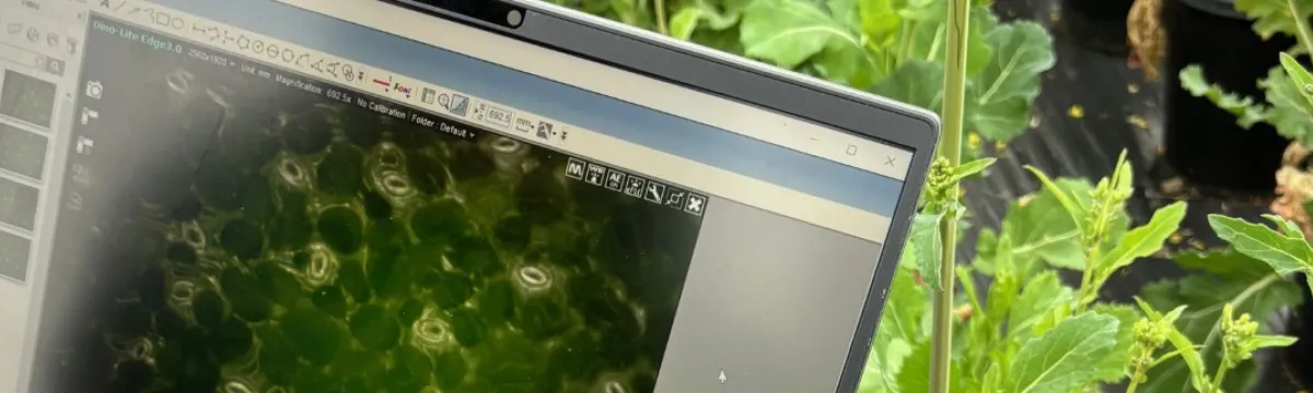 SCAN Tool