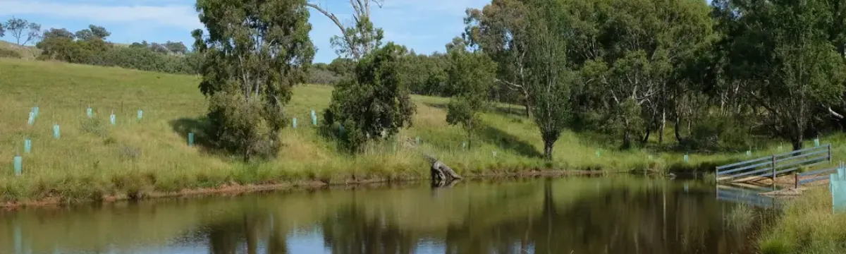 Enhanced Dam