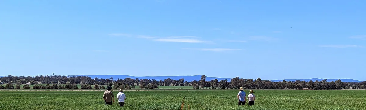 Research team in a wheat field