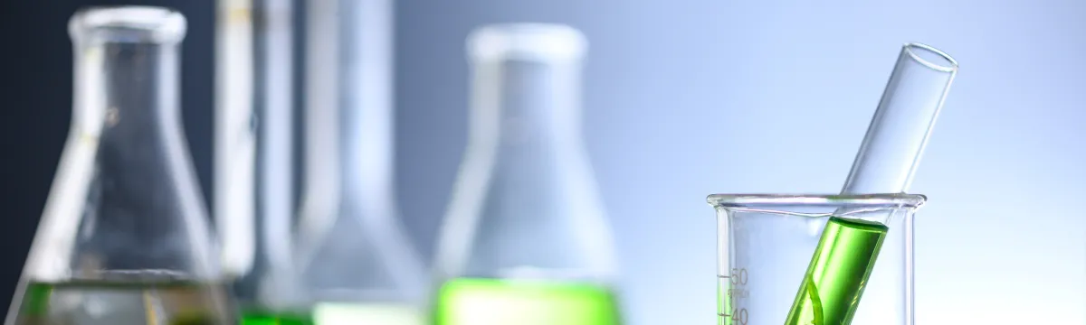 cyanobacteria
