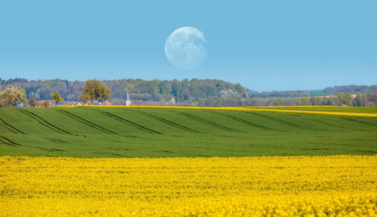 AdobeStock_283170987