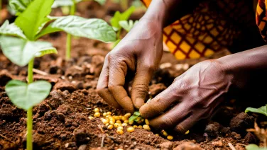 Close-up of hands planting seeds in fertile soil, representing agriculture, growth, and sustainable farming practices