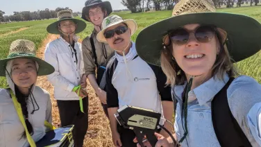 Researchers in a field